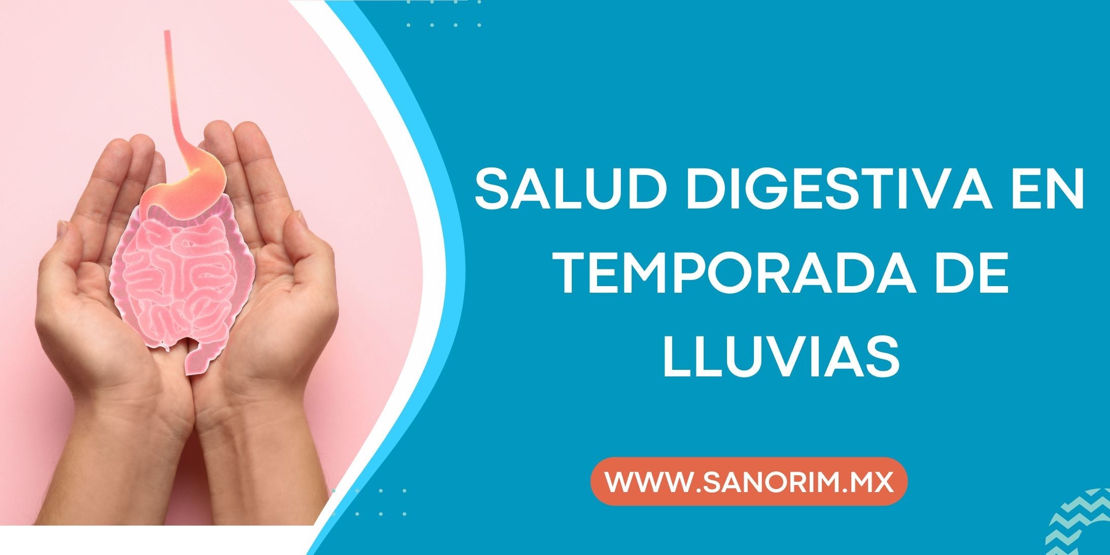 Cómo evitar enfermedades gastrointestinales en temporada de lluvias