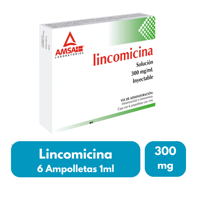 Lincomicina 300 mg / 2 ml Caja con 6 Ampolletas Inyectable Amsa Laboratorios