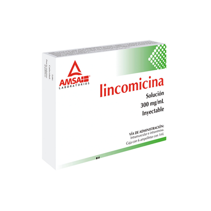 Lincomicina 300 mg / 2 ml Caja con 6 Ampolletas Inyectable Amsa Laboratorios